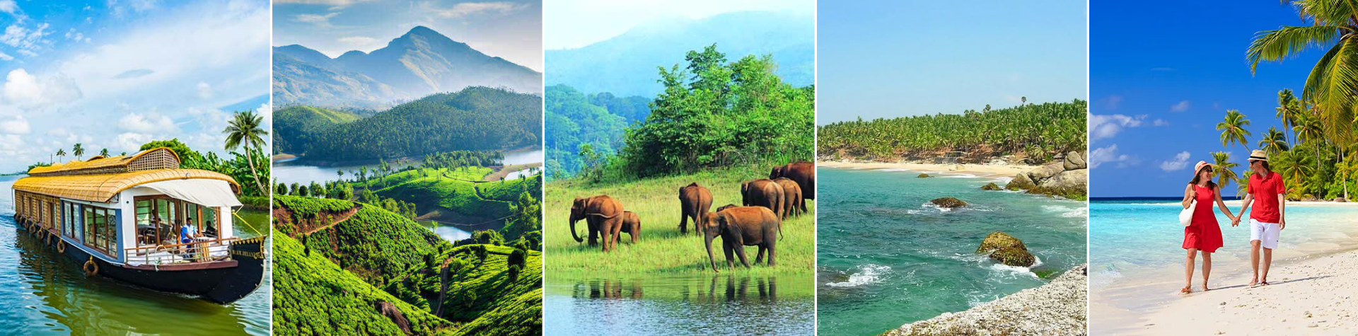munnar-to-thekkady-to-alleppey-tour.jpg