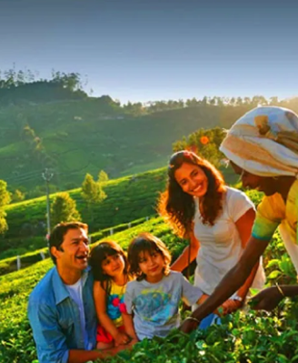 kerala-tourism-hill-stations.jpg